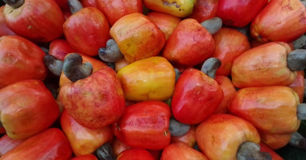 Vitamina C: 7 frutas brasileiras ricas no nu...
