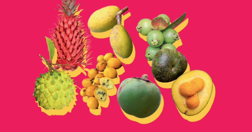 7 frutos do Cerrado que são verdadeiros tesouros para a saúde