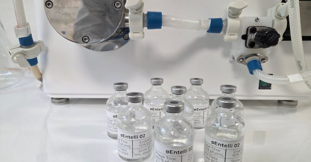 Coquetel de vírus pode ser arma contra superbactérias