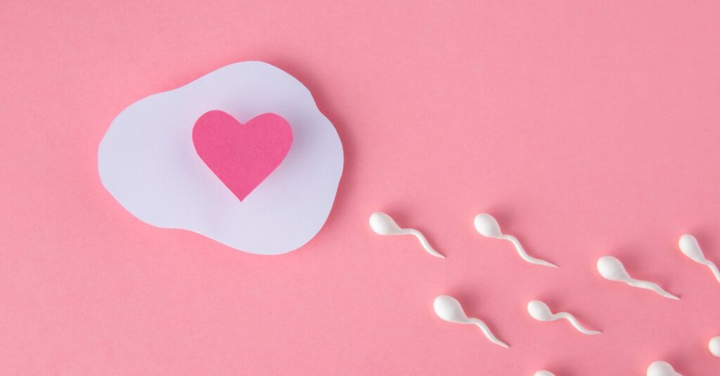 Gravidez após a morte: os dilemas e avanços da reprodução assistida post mortem