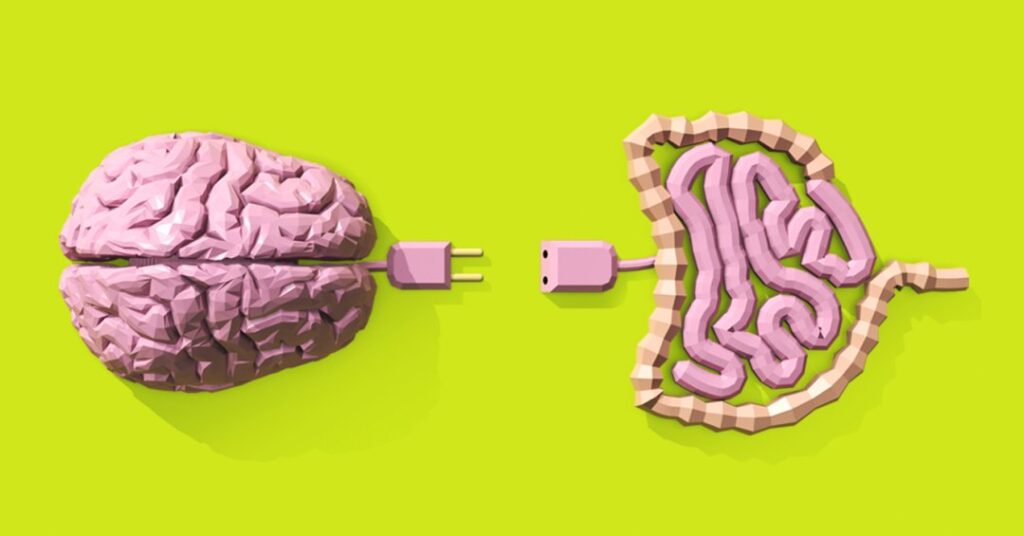 Intestino é o “segundo cérebro”: mito ou realidade?