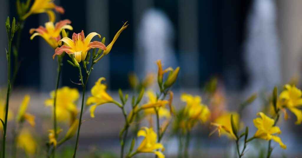 O que é o equinócio e como cuidar da saúde na primavera?
