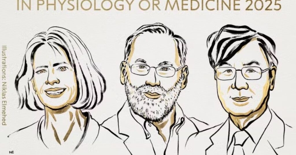 Nobel de Medicina 2025 premia revolução no entendimento das doenças autoimunes