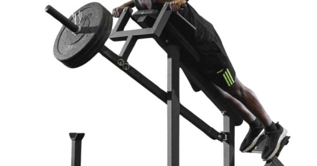 Remada cavalinho: aprenda um exercício ideal para definir as costas