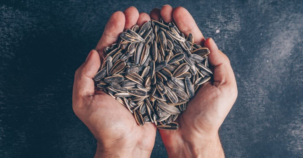 Semente de girassol: benefícios à saúde e como consumir