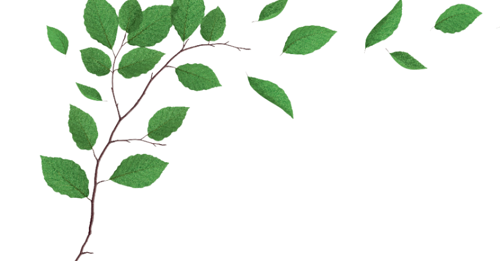 Até as palavras sobre a natureza estão desaparecendo, revela estudo