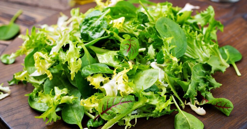 Folhas verdes: conheça os benefícios e veja dicas para inseri-las na rotina
