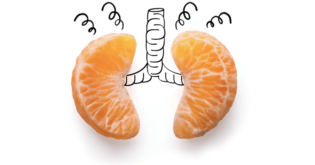 Frutas podem ser a chave para pulmões saudáveis