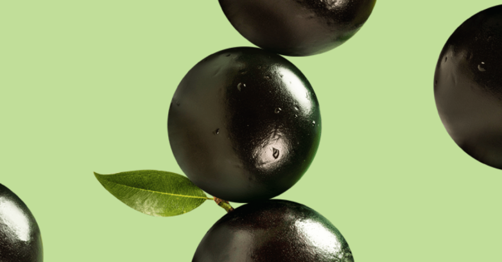 Jabuticaba contribui para controle do apetite e a cognição, aponta estudo