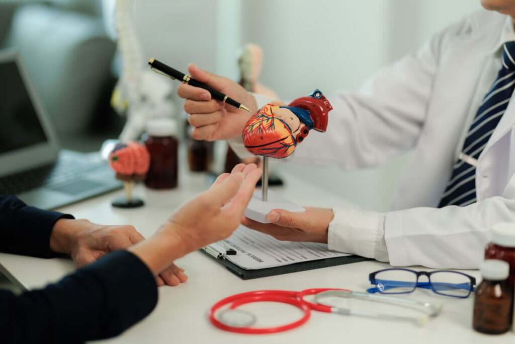 Sistema cardiovascular: funções, anatomia (e doenças comuns)