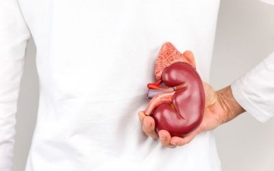 11 sintomas de problemas nos rins (com teste online)