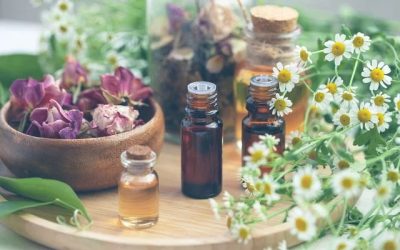 5 remédios caseiros para herpes zóster