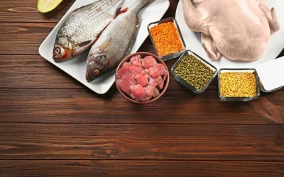 6 principais alimentos ricos em proteína e como consumir