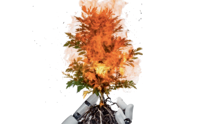 A insustentável leveza da inteligência artificial