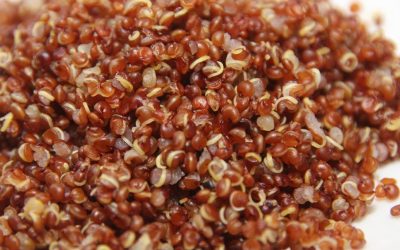 A semente ancestral que surpreende por ser uma boa fonte de proteína