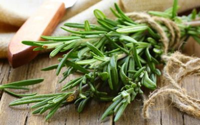 Alecrim: para que serve, propriedades (e como usar)