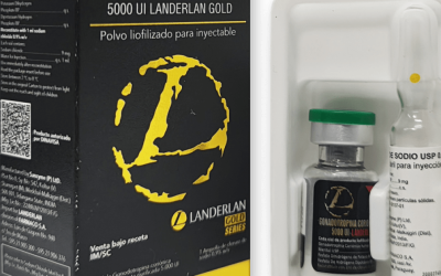 Anvisa veta comercialização e uso de 30 anabolizantes irregulares; saiba quais