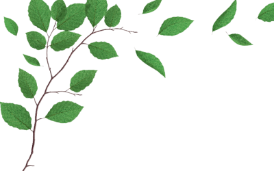 Até as palavras sobre a natureza estão desaparecendo, revela estudo