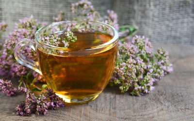 Chá de Orégano: 10 benefícios, como fazer (e efeitos colaterais)