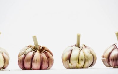 Comer alho cru ajuda a sua saúde? Entenda melhor essa historia