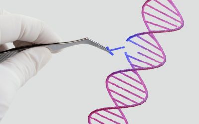 Como vírus e bactérias inspiraram a criação da edição genética humana