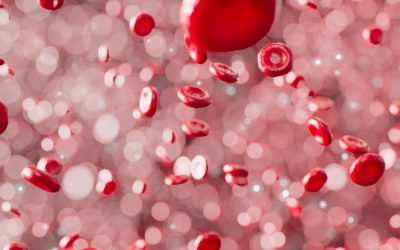 Dia Internacional da Doença Falciforme: a im...