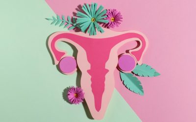 Duda: dispositivo brasileiro preserva fertil...