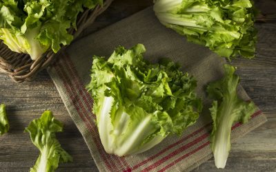 Escarola: 9 principais benefícios e como consumir (com receitas)