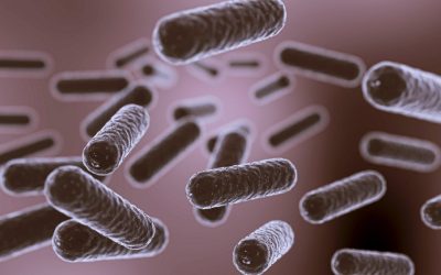 Estudo associa toxina de bactéria a câncer c...