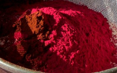 Farinha de beterraba: saiba os benefícios e...