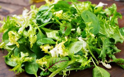 Folhas verdes: conheça os benefícios e veja dicas para inseri-las na rotina
