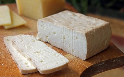 Gripe aviária: vírus sobrevive em queijo de leite cru por meses, diz estudo