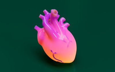 Impressão de coração 3D ajuda a explicar malformações fetais para famílias