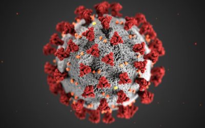 Infectologista: Não há perigo de novo coronavírus causar danos a humanos