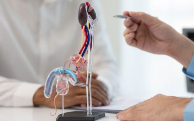 Infertilidade masculina: sintomas, causas e tratamento