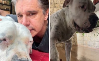 Márcio Garcia revela diagnóstico de câncer de seu cachorro
