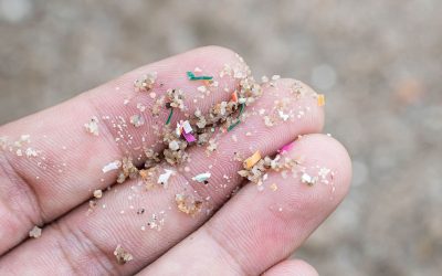 Microplásticos: o que são e possíveis riscos para a saúde