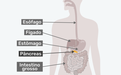 Imagem ilustrativa número 2