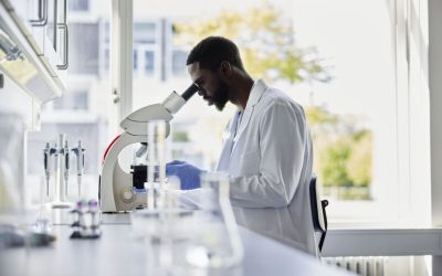 Pesquisadores criam minicérebros para investigar envelhecimento saudável