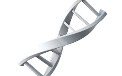 Prêmio chama atenção para as doenças raras no Brasil