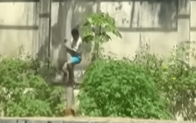 Quadro psiquiátrico: o que se sabe sobre jovem que morreu em jaula de leoa