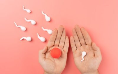 Queda da fertilidade avança no Brasil e aumenta a busca por ajuda para engravidar