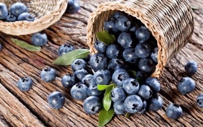 Remédio caseiro para purificar o sangue