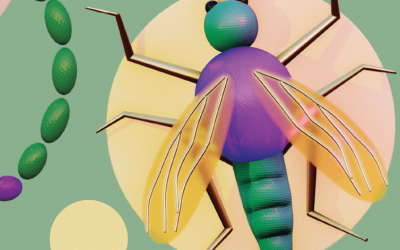 Repelentes naturais: descubra se citronela, cravo e outras receitas caseiras funcionam