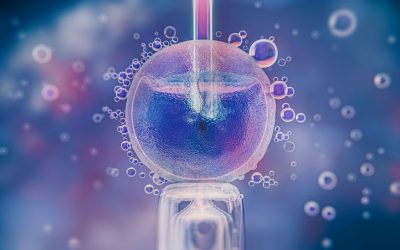 Reprodução assistida: entenda novos desafios éticos e legais na área