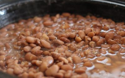 Sinais Vitais com Dr. Kalil: feijão é o marcador da alimentação saudável