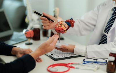 Sistema cardiovascular: funções, anatomia (e doenças comuns)
