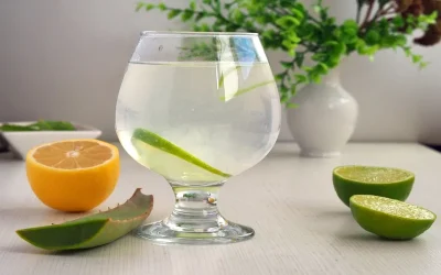 Suco de babosa: para que serve e como fazer (com passo a passo)