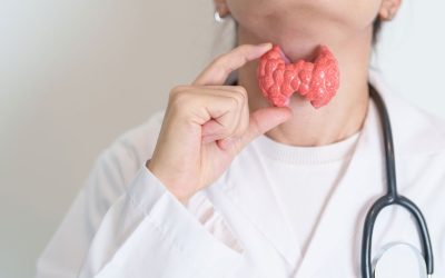 Tireoide: o que é, para que serve, sintomas e problemas mais comuns