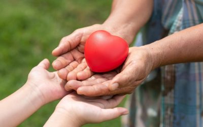 Transplante de coração: é sentença? Entenda perspectivas após cirurgia